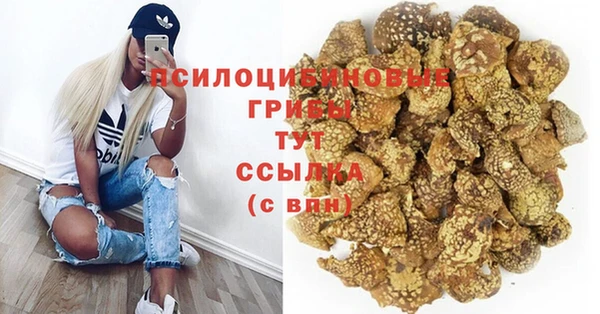 мяу мяу мука Касимов