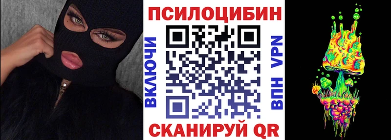 mega как зайти  Короча  Галлюциногенные грибы Psilocybine cubensis  где можно купить  